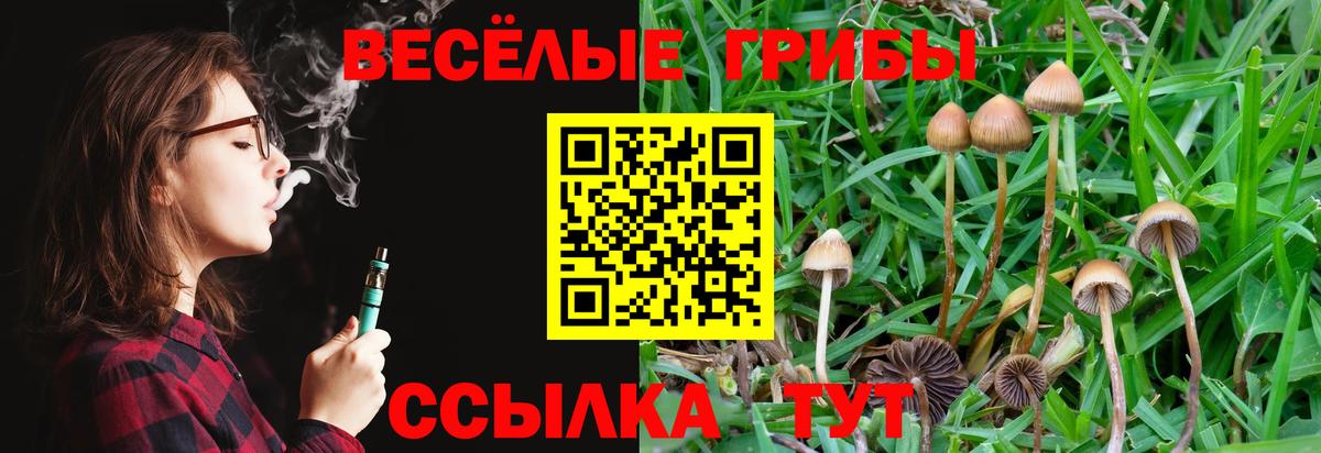 Артём  Псилоцибиновые грибы Psilocybine cubensis  Псилоцибиновые грибы Cubensis  Вход с VPN 