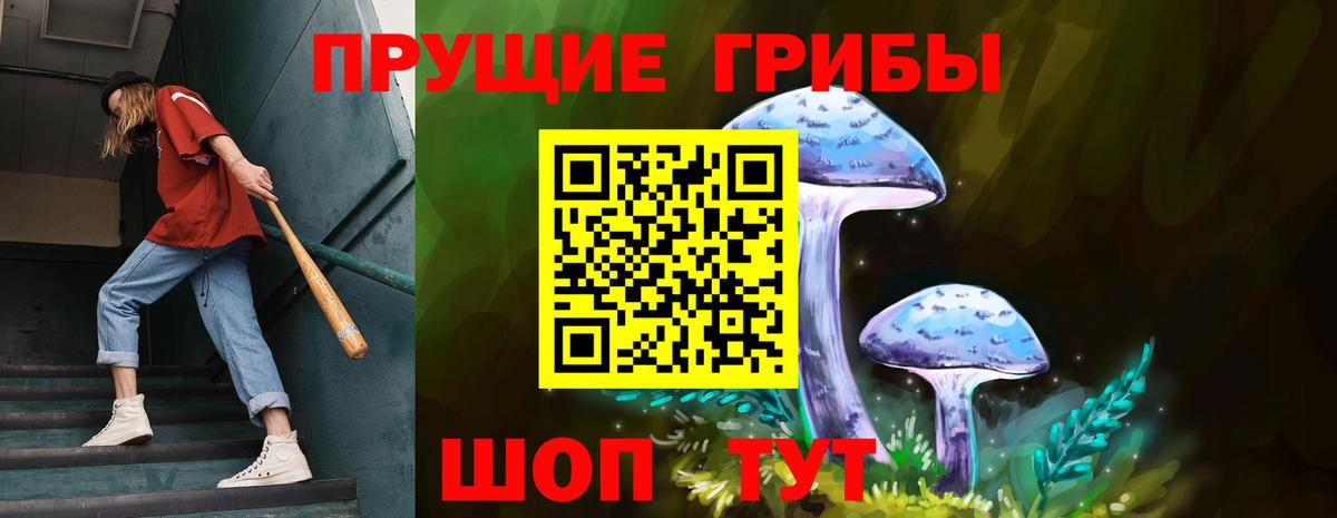 Псилоцибиновые грибы мицелий Артём